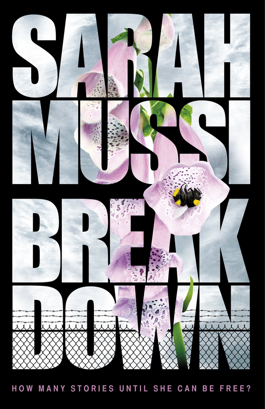 Бумажная книга «Breakdown», автор Сара Мусси - фото №1