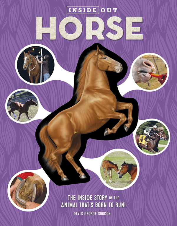 Бумажная книга «Inside Out Horse. The Inside Story on the Animal That's Born to Run!», автор Дэвид Джордж Гордон - фото №1