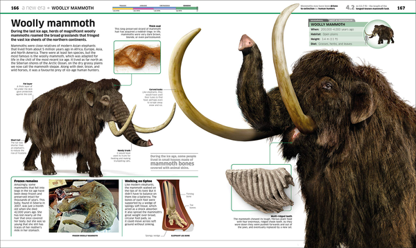 Бумажная книга «Knowledge Encyclopedia Dinosaur! Over 60 Prehistoric Creatures as You've Never Seen Them Before» - фото №1
