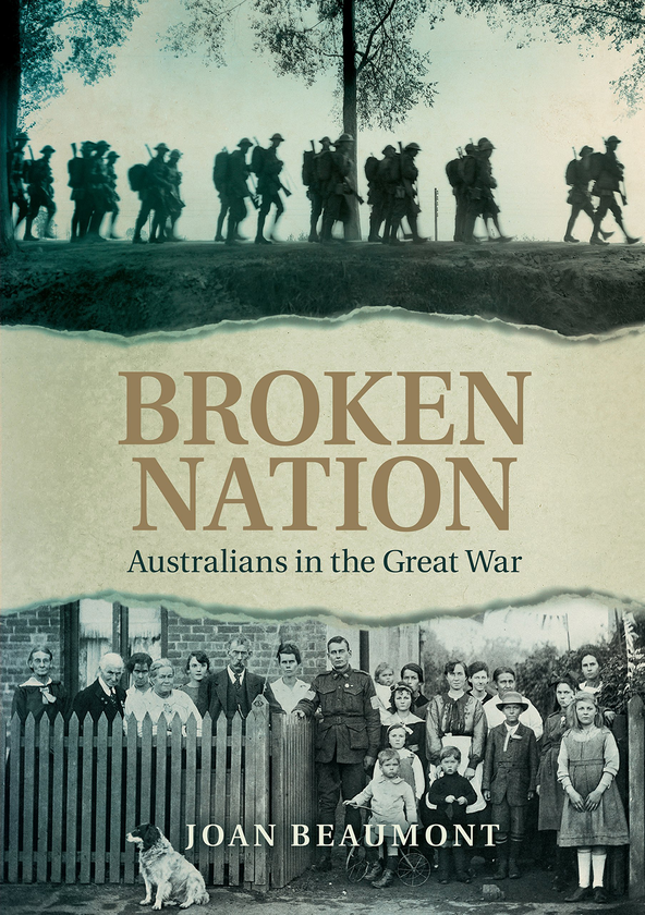Бумажная книга «Broken Nation. Australians in the Great War», автор Джоан Бомонт - фото №1