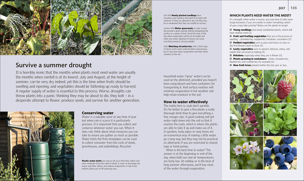 Паперова книга «Allotment Month By Month. Grow your Own Fruit and Vegetables, Know What to do When», автор Алан Букінгем - фото №1