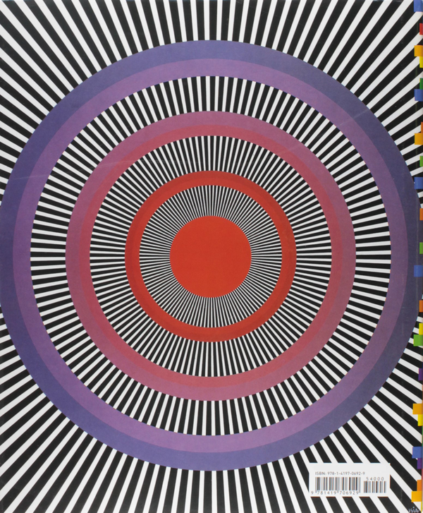 Бумажная книга «Vision and Art (Updated and Expanded Edition)» - фото №1