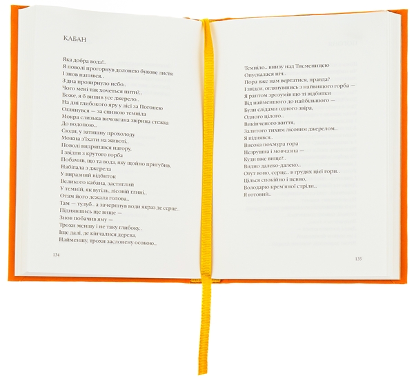 Бумажная книга «Зима в Тисмениці», автор Олег Лишега - фото №1