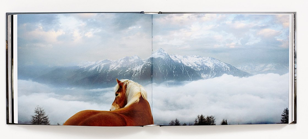 Бумажная книга «Equus (Mini)», автор Тим Флэк - фото №1
