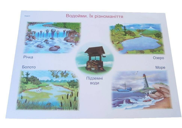 [object Object] «Природознавство. Комплект плакатів для 2 класу», автор Людмила Грибчук - фото №2 - мініатюра