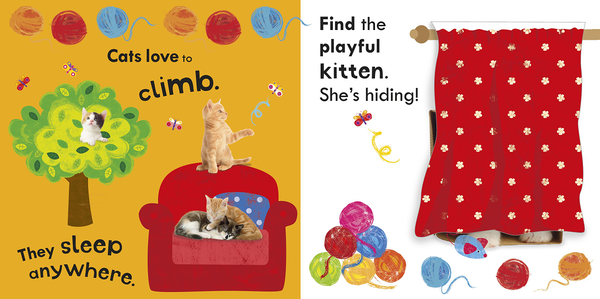 Бумажная книга «Noisy Pets Peekaboo!» - фото №1