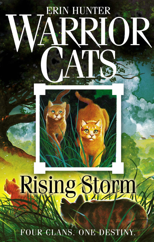 Бумажная книга «Warrior Cats. Book 4. Rising Storm», автор Эрин Хантер - фото №1