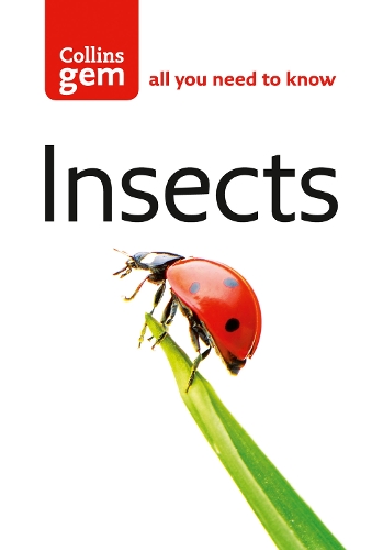 Паперова книга «Insects», автор Майкл Чінері - фото №1