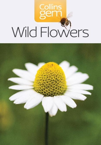 Паперова книга «Collins Gem — WILD FLOWERS [New edition]» - фото №1
