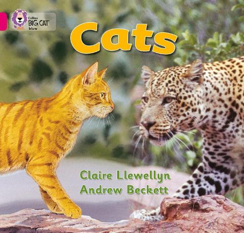 Паперова книга «Cats: Band 01b/Pink B», автор Клер Левеллін - фото №1