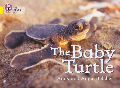 Бумажная книга «The Baby Turtle: Band 03/Yellow», авторов Энди Белчер, Энджи Белчер - фото №1