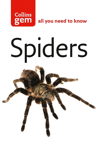 Паперова книга «Spiders», автор Пол Хіллард - фото №1