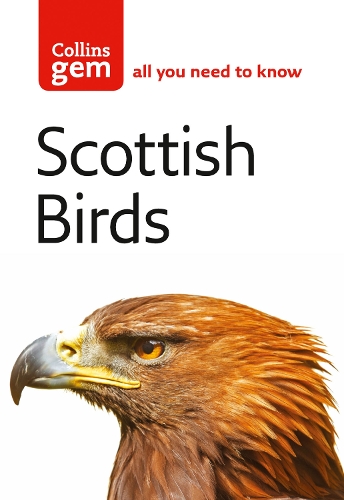 Паперова книга «Scottish Birds», автор Валері Том - фото №1