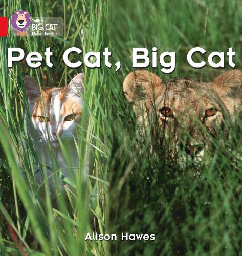 Бумажная книга «Pet Cat, Big Cat: Band 02a/Red a», автор Элисон Хоуз - фото №1