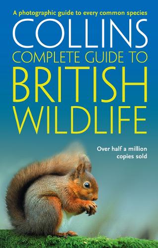 Бумажная книга «British Wildlife: A Photographic Guide to Every Common Species», автор Пол Стерри - фото №1