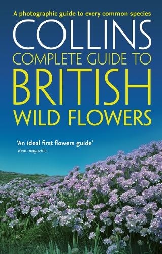 Бумажная книга «British Wild Flowers: A Photographic Guide to Every Common Species», автор Пол Стерри - фото №1