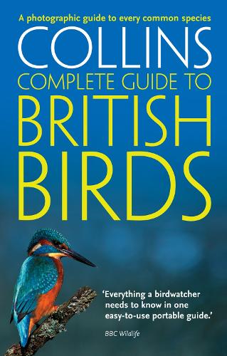 Бумажная книга «British Birds: A Photographic Guide to Every Common Species», автор Пол Стерри - фото №1