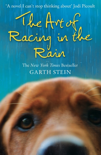 Бумажная книга «The Art of Racing in the Rain», автор Гарт Стайн - фото №1