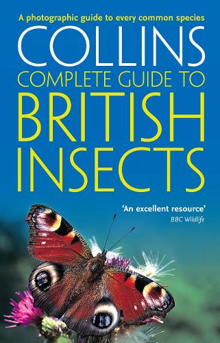 [object Object] «British Insects: A Photographic Guide to Every Common Species», автор Майкл Чинери - фото №1