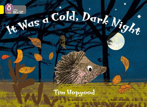 Бумажная книга «It Was a Cold Dark Night: Band 03/Yellow», автор Тим Хопгуд - фото №1