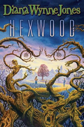 Паперова книга «Hexwood», автор Діана Вінн Джонс - фото №1