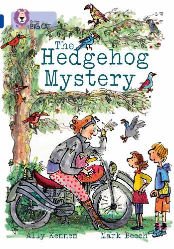 Бумажная книга «The Hedgehog Mystery: Band 16/Sapphire», автор Элли Кеннен - фото №1
