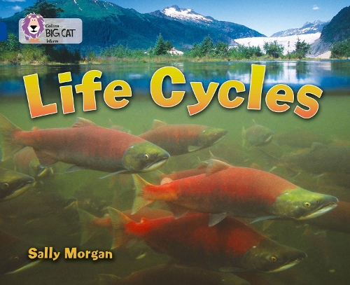 Бумажная книга «Life Cycles: Band 16/Sapphire», автор Салли Морган - фото №1
