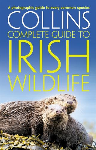 Бумажная книга «Collins Complete Irish Wildlife: Introduction by Derek Mooney», автор Пол Стерри - фото №1