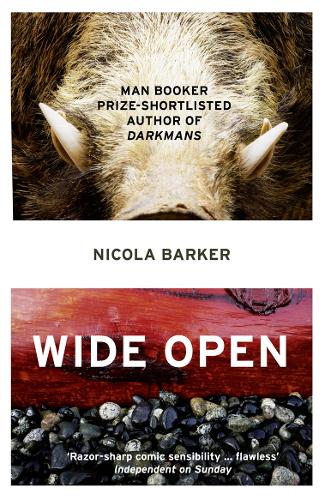 Бумажная книга «Wide Open», автор Никола Баркер - фото №1