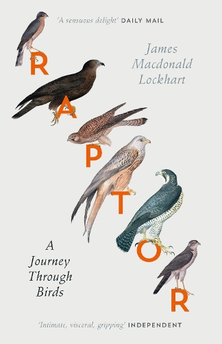 Бумажная книга «Raptor: A Journey Through Birds», автор Джеймс Макдональд Локхарт - фото №1