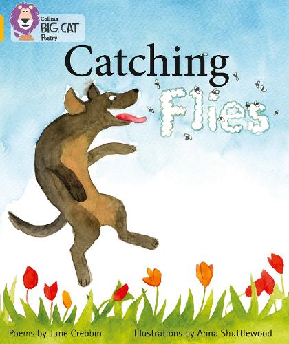 Бумажная книга «Catching Flies: Band 09/Gold», автор Джун Креббин - фото №1