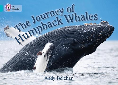 [object Object] «The Journey of Humpback Whales: Band 07/Turquoise», автор Енді Белчер - фото №1