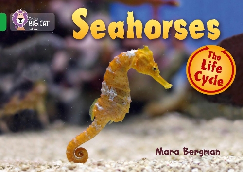 Бумажная книга «Seahorses: Band 05/Green», автор Мара Бергман - фото №1