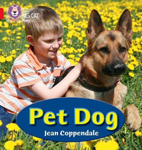 Паперова книга «PET DOG: Band 02a/Red a», автор Жан Коппендейл - фото №1