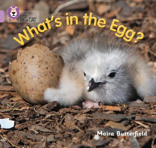 Бумажная книга «What’s in the Egg?: Band 00/Lilac», автор Мойра Баттерфилд - фото №1