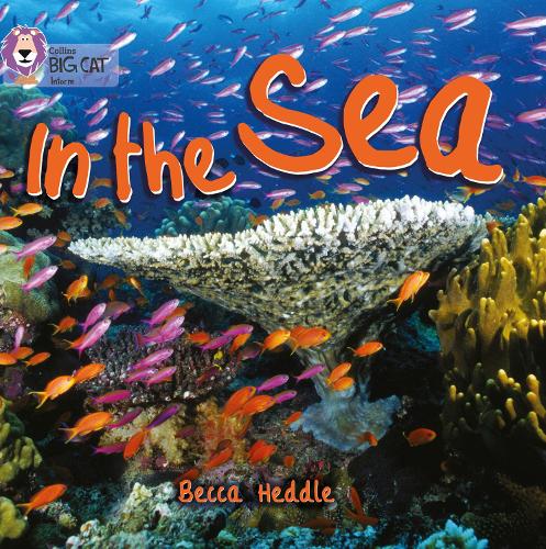 Бумажная книга «In the Sea: Band 01b/Pink B», автор Бекка Хеддл - фото №1