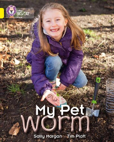 Бумажная книга «My Pet Worm: Band 03/Yellow», автор Салли Морган - фото №1