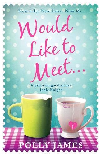 Бумажная книга «Would Like to Meet», автор Полли Джеймс - фото №1