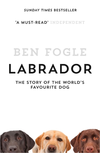 Бумажная книга «Labrador: The Story of the World’s Favourite Dog», автор Бен Фогл - фото №1