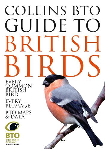 Бумажная книга «Collins BTO Guide to British Birds», авторов Пол Станклифф, Пол Стерри - фото №1