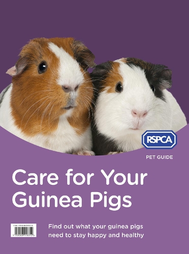 Паперова книга «Care for Your Guinea Pigs», автор RSPCA - фото №1