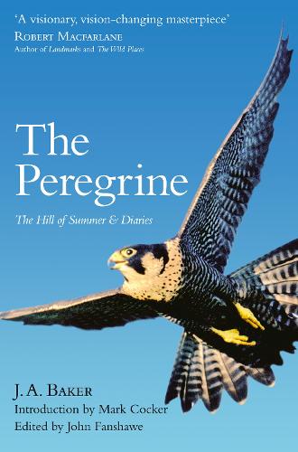 Бумажная книга «The Peregrine: The Hill of Summer & Diaries: the Complete Works of J. A. Baker», автор Дж. А. Бейкер - фото №1