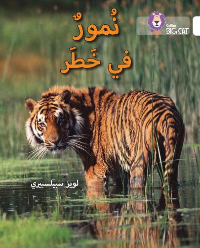 Паперова книга «Tigers in Danger: Level 10», автор Луїза Спілсбері - фото №1