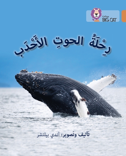 [object Object] «Journey of Humpback Whales: Level 12», автор Енді Белчер - фото №1