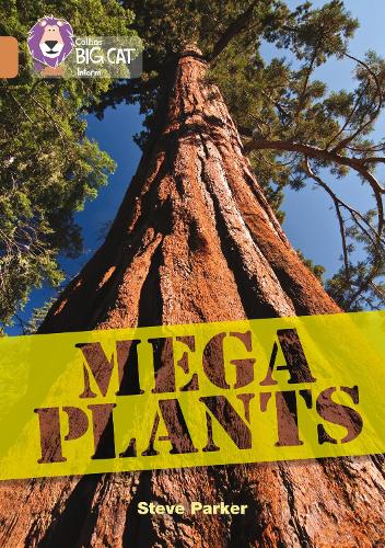 Паперова книга «Mega Plants: Band 12/Copper», автор Стів Паркер - фото №1