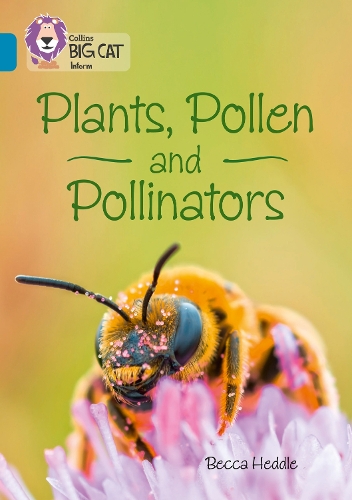Паперова книга «Plants, Pollen and Pollinators: Band 13/Topaz», автор Бекка Хеддл - фото №1