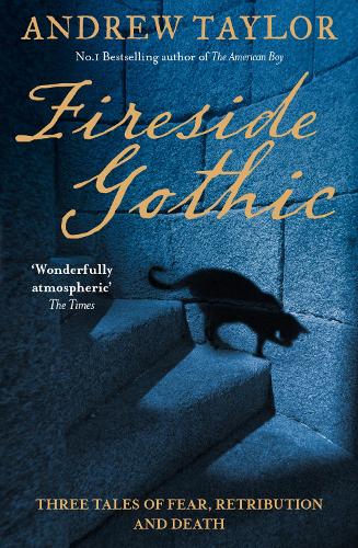 Бумажная книга «Fireside Gothic», автор Эндрю Тейлор - фото №1