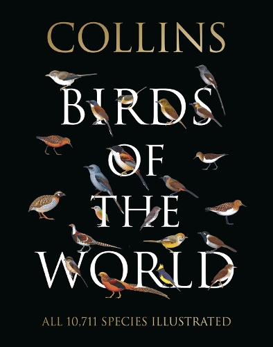 Паперова книга «Collins Birds of the World», авторів Альдо А. Кьяппе, Бер ван Перло, Густаво Каррізо, Хорхе Р. Родрігес Мата, Луїс Губер, Норман Арлотт - фото №1