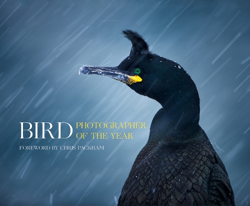 Паперова книга «Bird Photographer of the Year», автор Пташиний фотограф року - фото №1