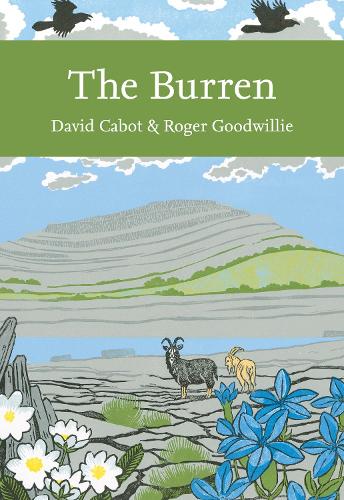 Паперова книга «The Burren», авторів Девід Кебот, Роджер Гудвіллі - фото №1